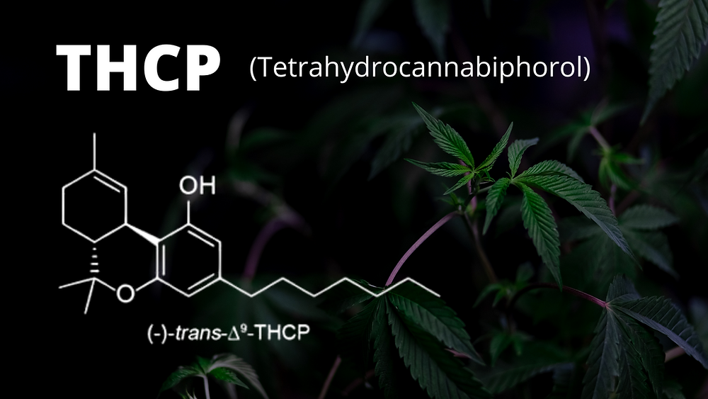 What is THC-P? Complete Guide to the New Cannabinoid