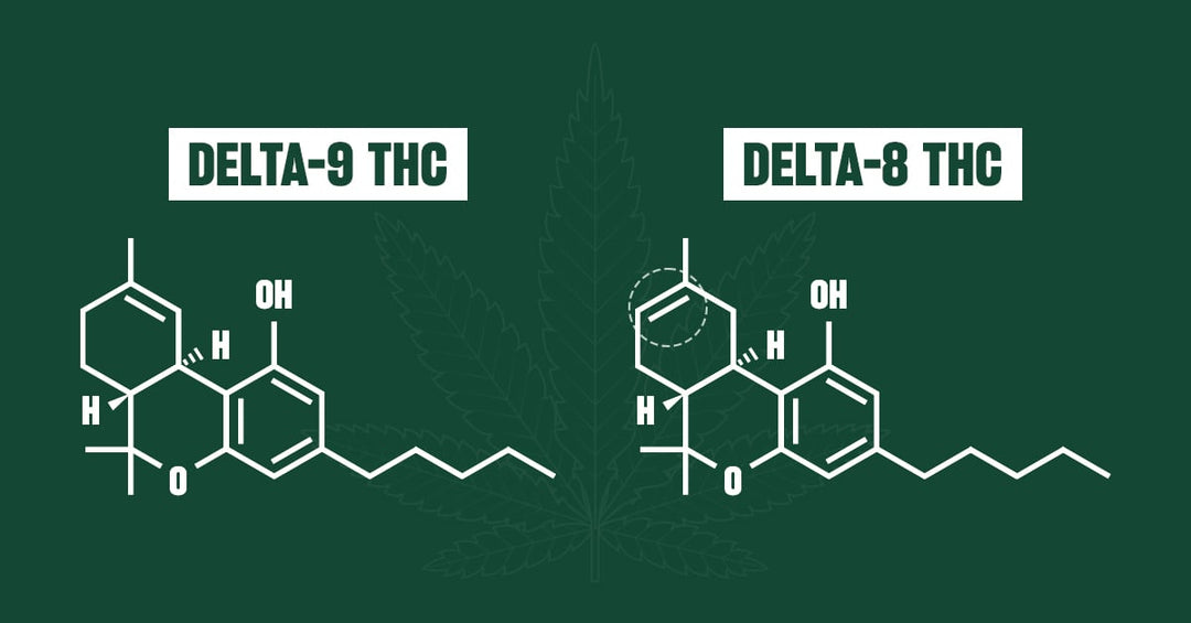 What Is The Difference Between Delta 8 THC and Delta 9 THC?