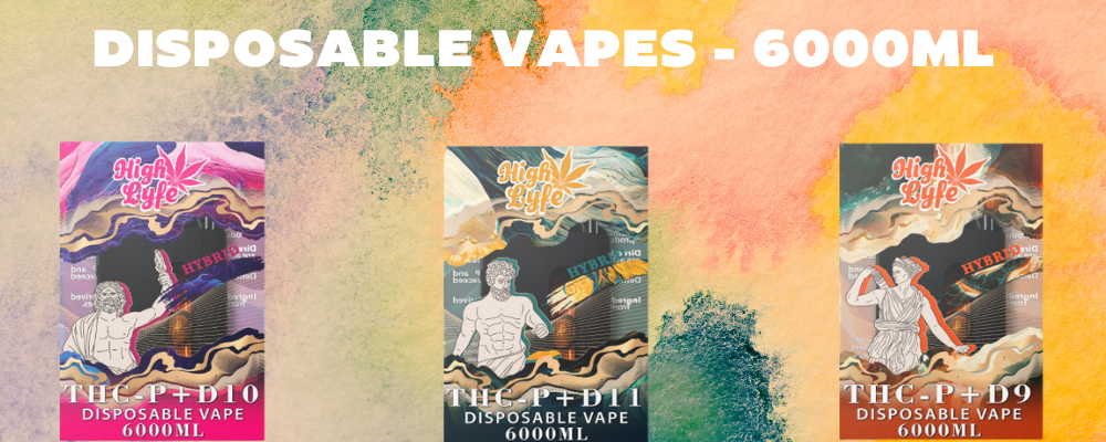 Disposable Vapes 6000ML